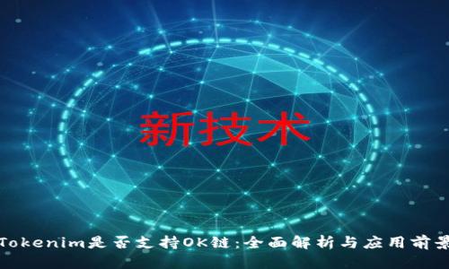 Tokenim是否支持OK链：全面解析与应用前景