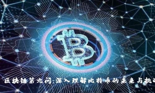 : 区块链第九问：深入理解比特币的未来与挑战