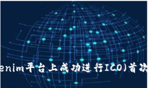 如何在Tokenim平台上成功进行ICO（首次代币发行）