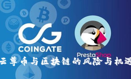 投资云尊币与区块链的风险与机遇分析