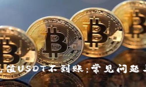 Tokenim充值USDT不到账：常见问题与解决方案