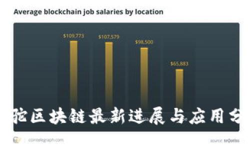 羊驼区块链最新进展与应用分析