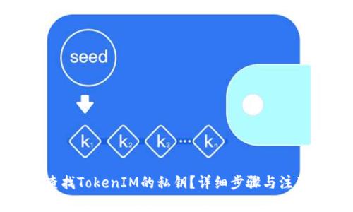 如何查找TokenIM的私钥？详细步骤与注意事项