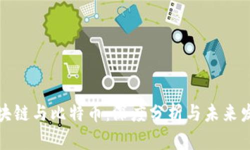 夸克区块链与比特币：深度分析与未来发展展望