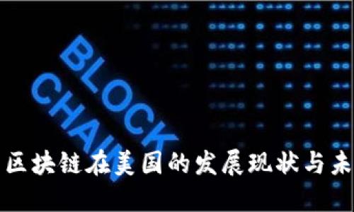 比特币区块链在美国的发展现状与未来趋势