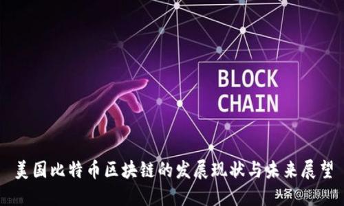 美国比特币区块链的发展现状与未来展望