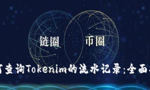 如何查询Tokenim的流水记录：全面指南