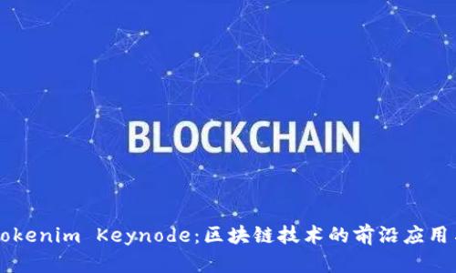 深入解析Tokenim Keynode：区块链技术的前沿应用与未来展望