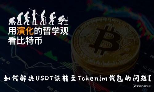 如何解决USDT误转至Tokenim钱包的问题？